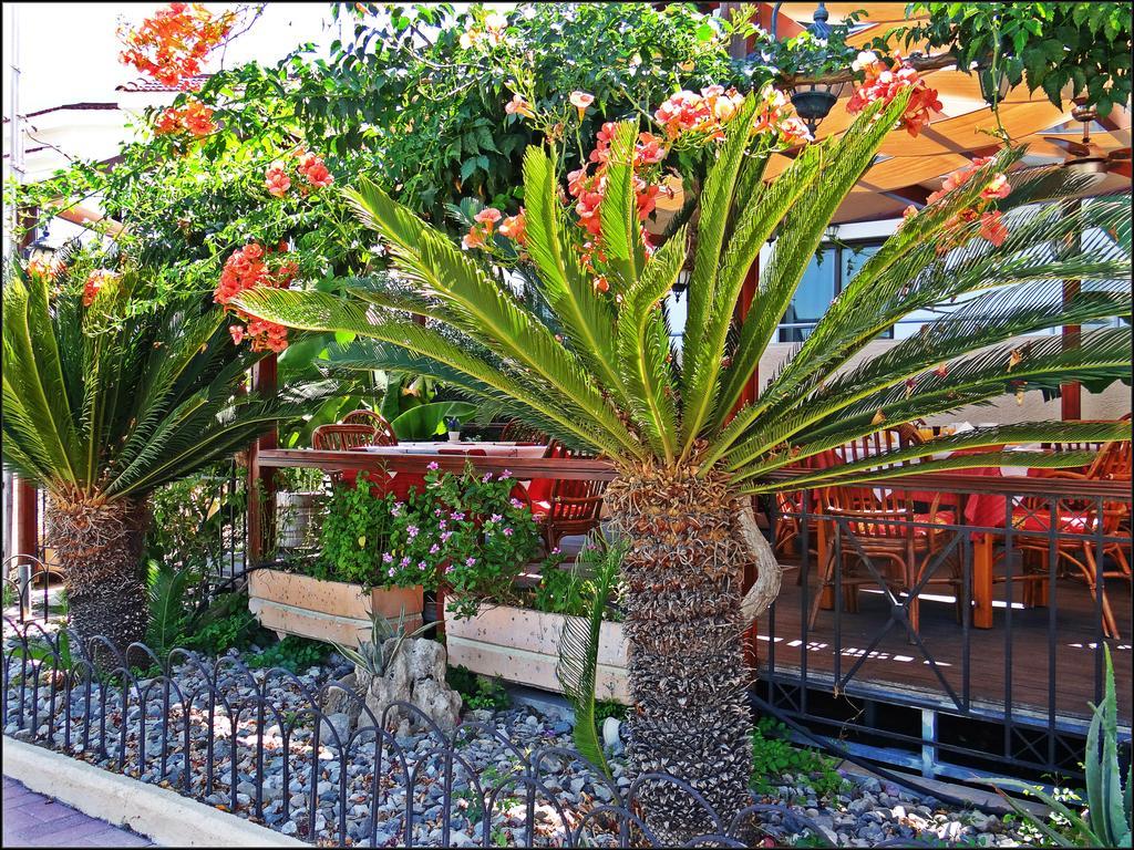 Kalathos Sun Hotel Esterno foto